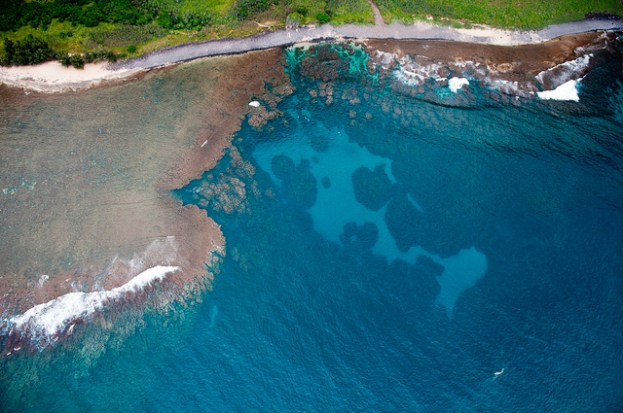 5584366734_8532fd120d_z